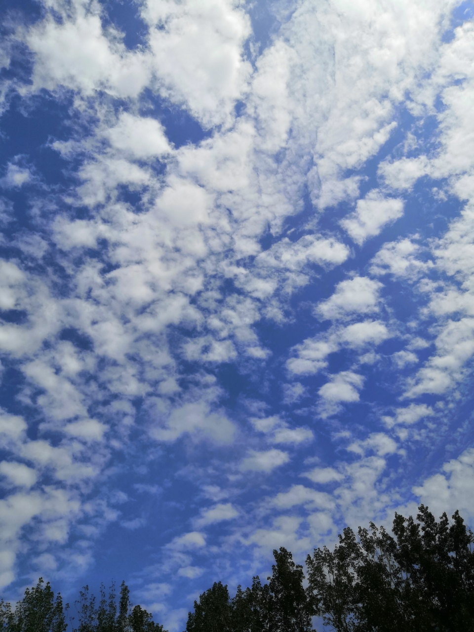 20190814_52805_1565778498002.jpg