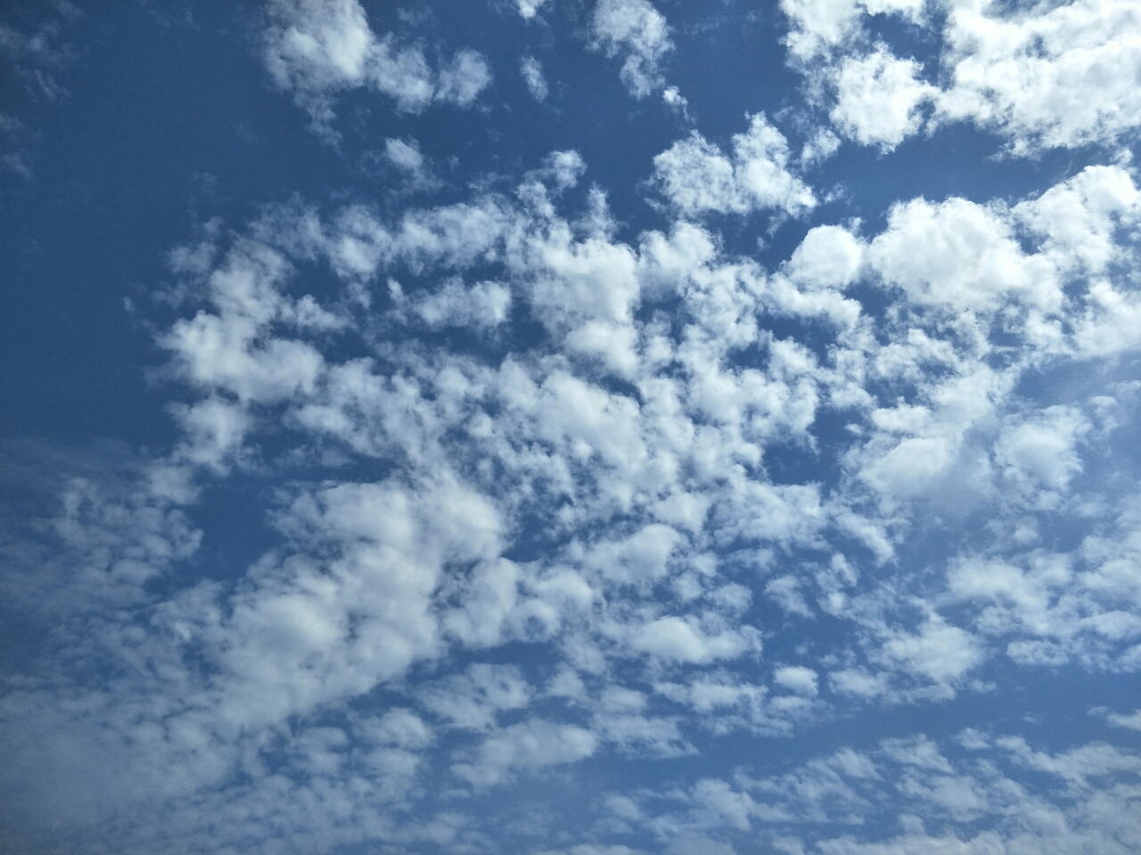 20190814_13921_1565793980695.jpg