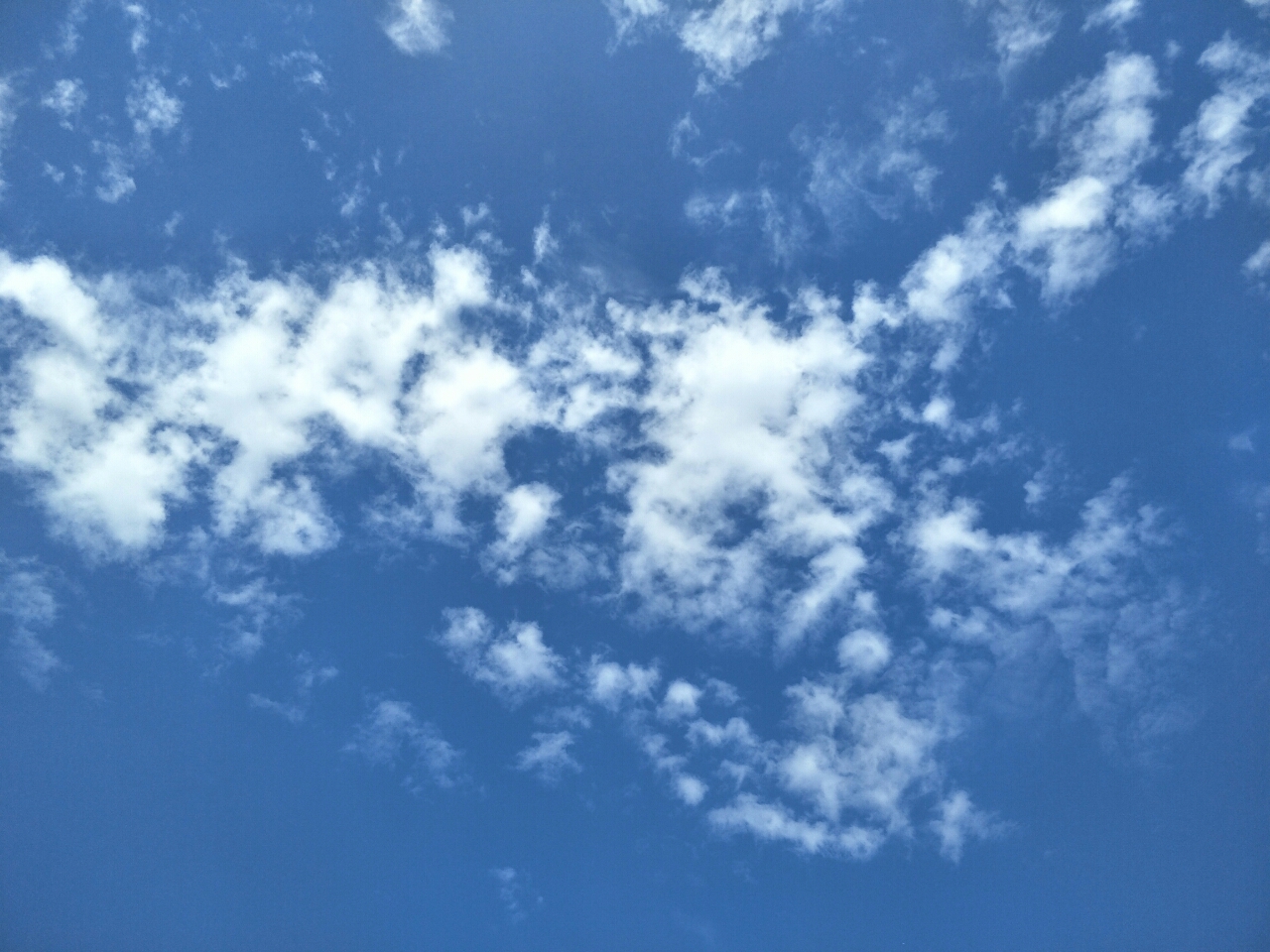 20190814_13921_1565793982060.jpg