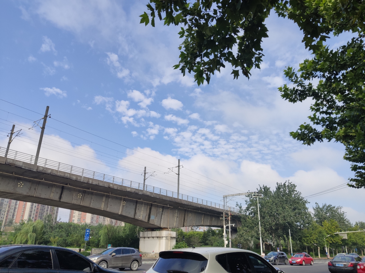 20190815_104176_1565832996656.jpg
