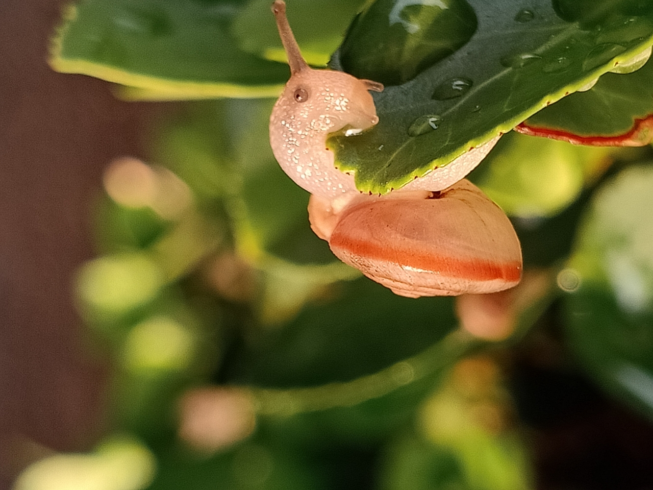 20190815_74765_1565836355905.jpg