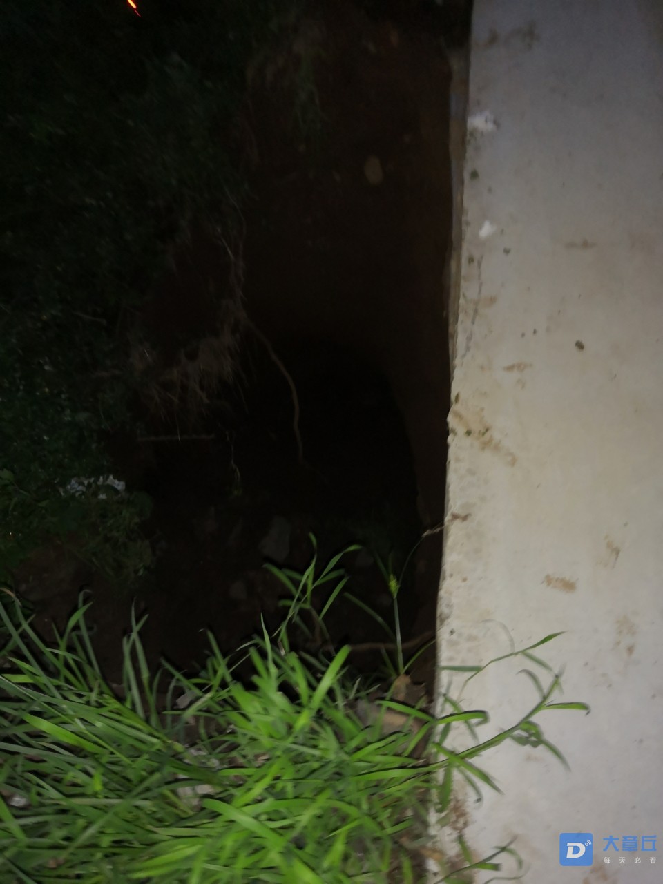 20190815_102492_1565843468628.jpg
