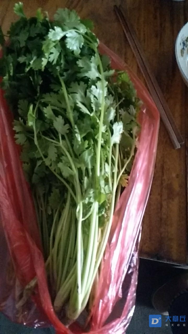 20190818_105493_1566100778649.jpg