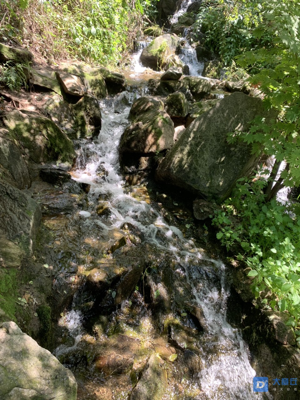 2019081858611566126545835923.jpg