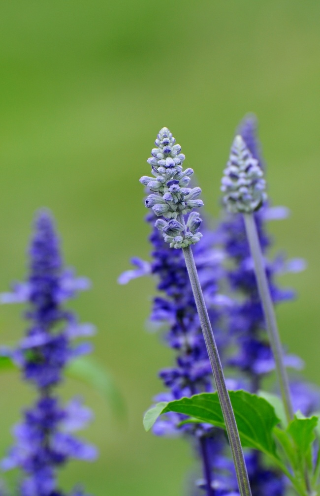 20190820_3196_1566282221855.jpg