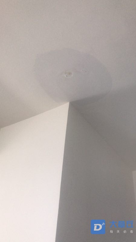 20190822_118660_1566439976035.jpg