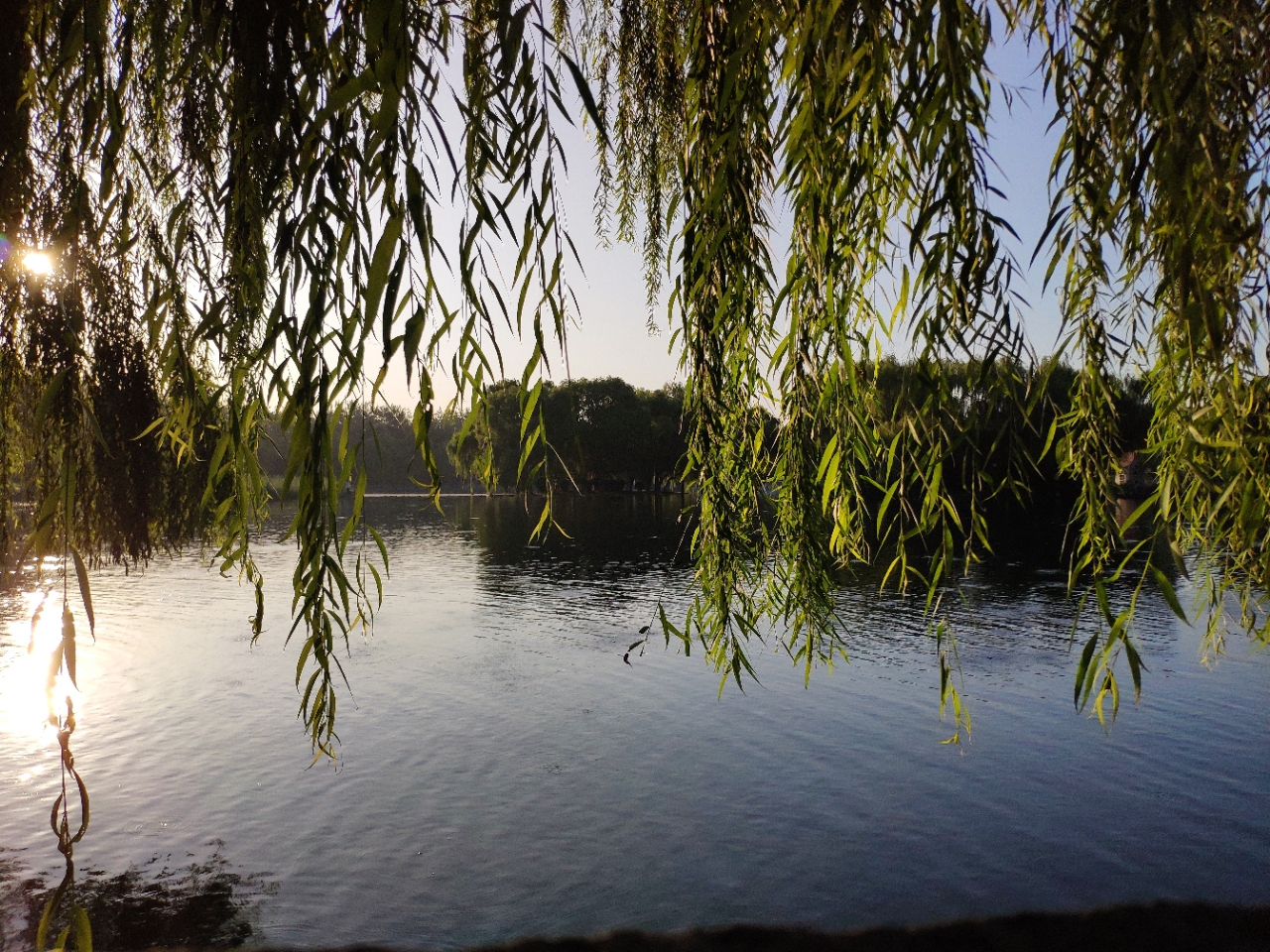 20190823_66626_1566569816740.jpg
