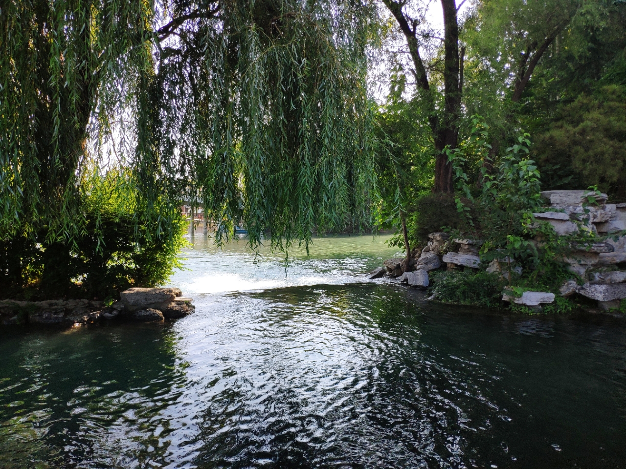 20190823_66626_1566569817538.jpg