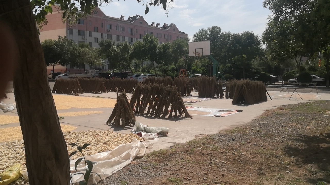 20190828_105569_1566973712066.jpg