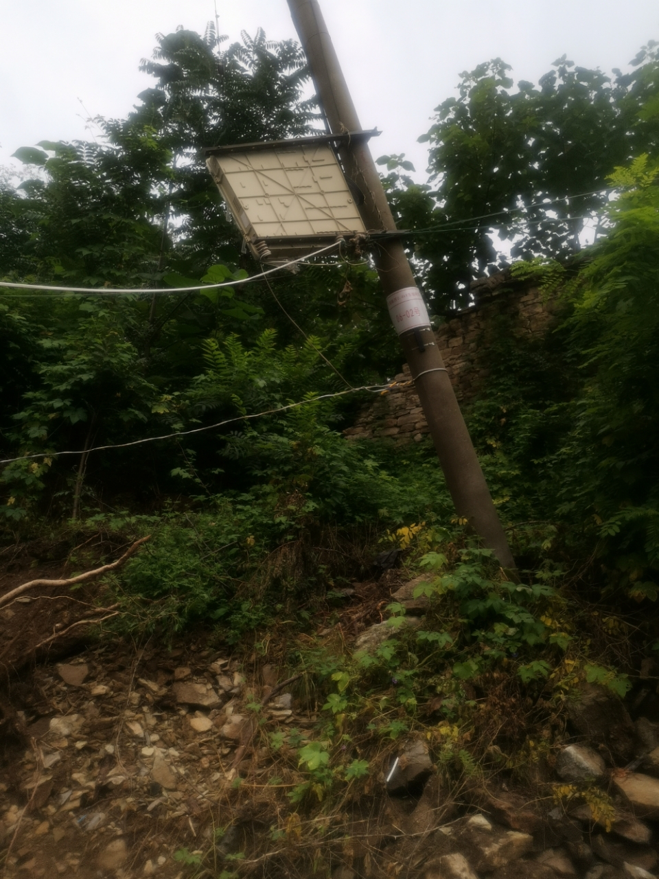 20190828_118962_1566984720856.jpg