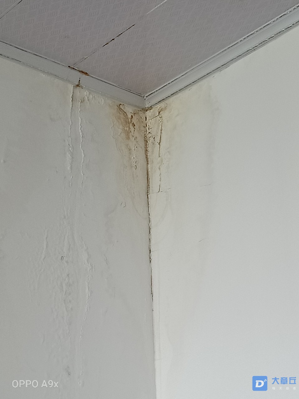 20190829_119403_1567072876854.jpg
