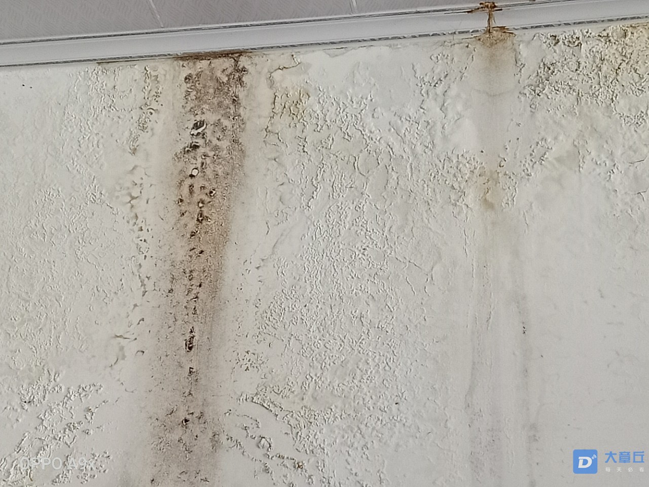 20190829_119403_1567072877497.jpg
