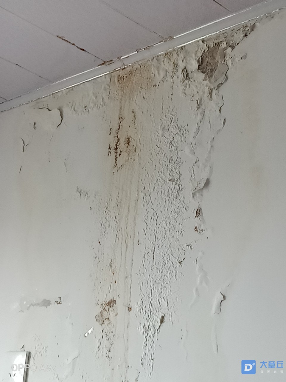 20190829_119403_1567072877065.jpg