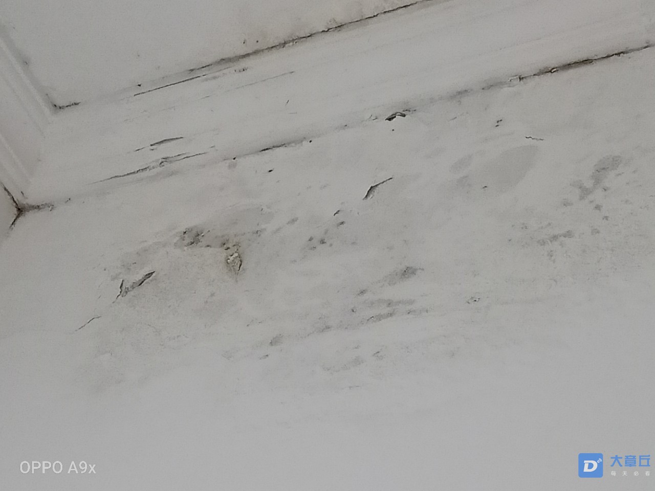 20190829_119403_1567072877729.jpg