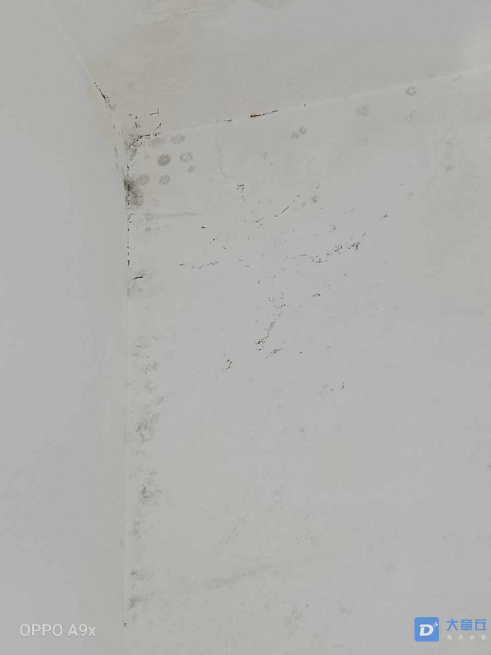 20190829_119403_1567072877932.jpg