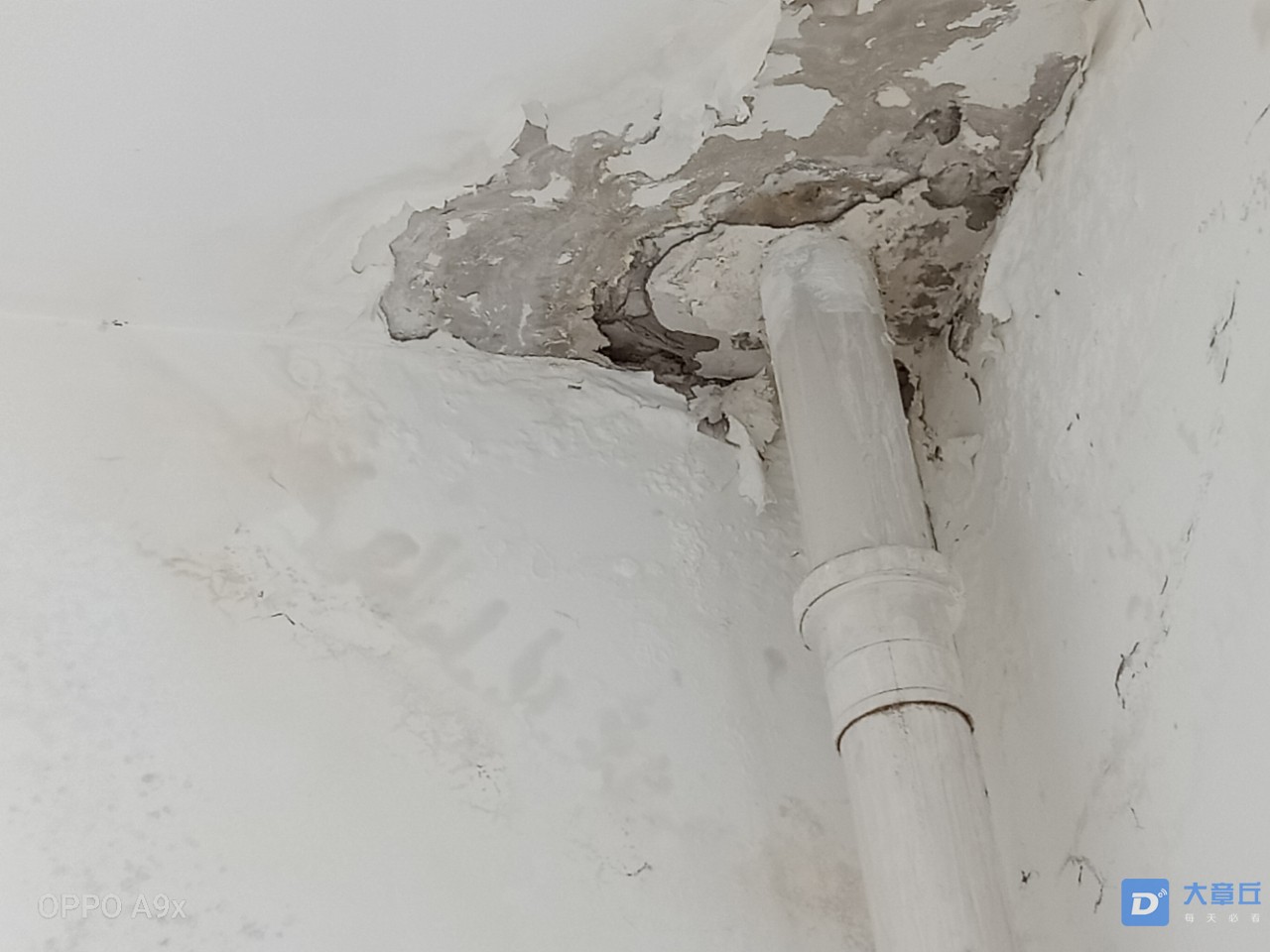 20190829_119403_1567072878135.jpg