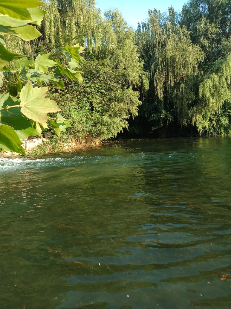20190901_36645_1567324095316.jpg