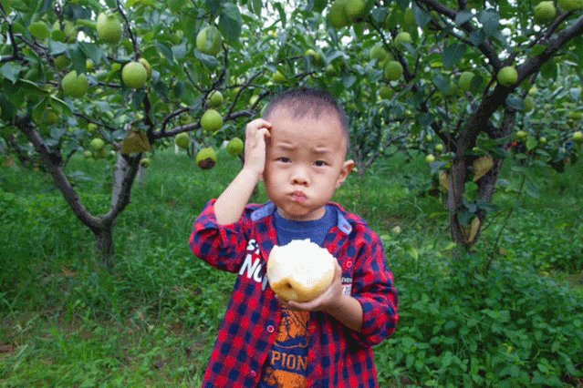 微信图片_20190903142130.gif