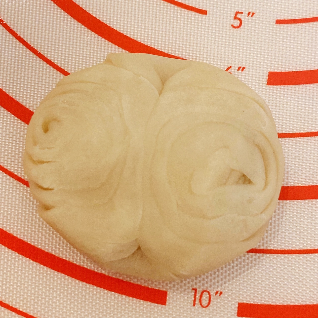 20190904_114500_1567582916579.jpg
