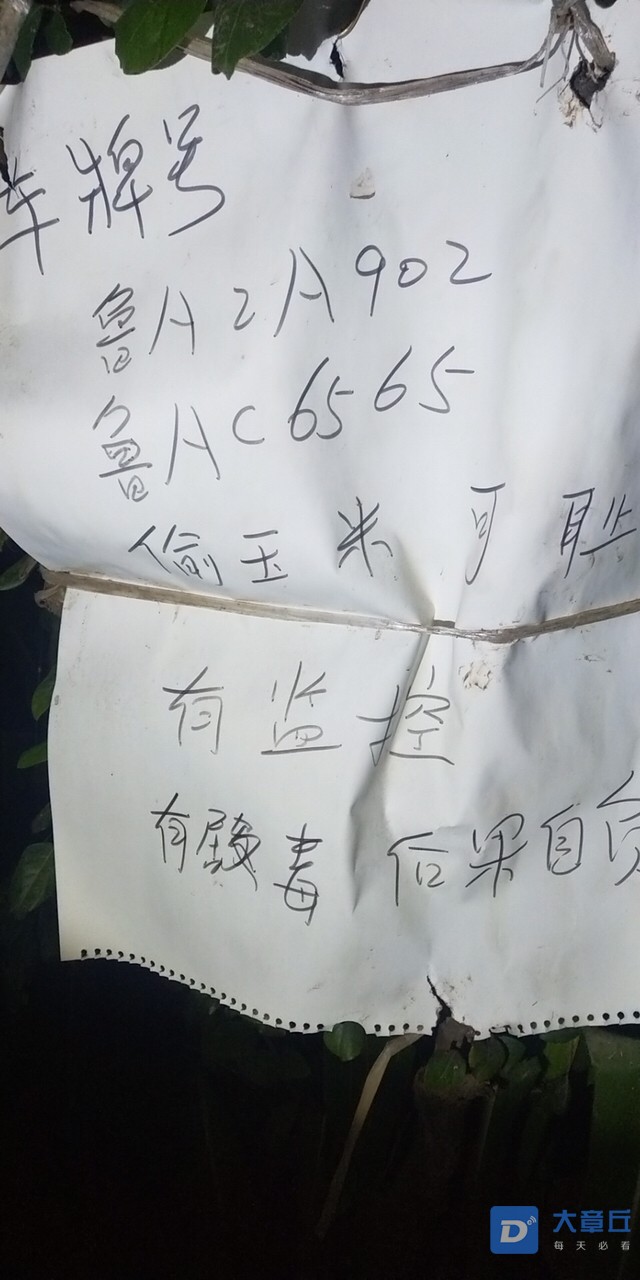 2019090554631567691637770307.jpg