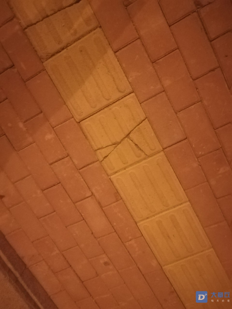 20190905_7669_1567695515029.jpg