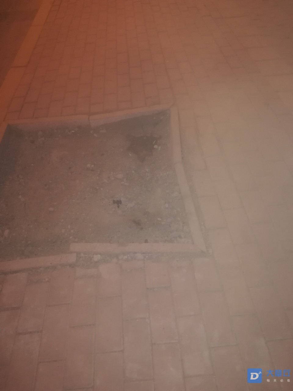20190905_7669_1567695516852.jpg