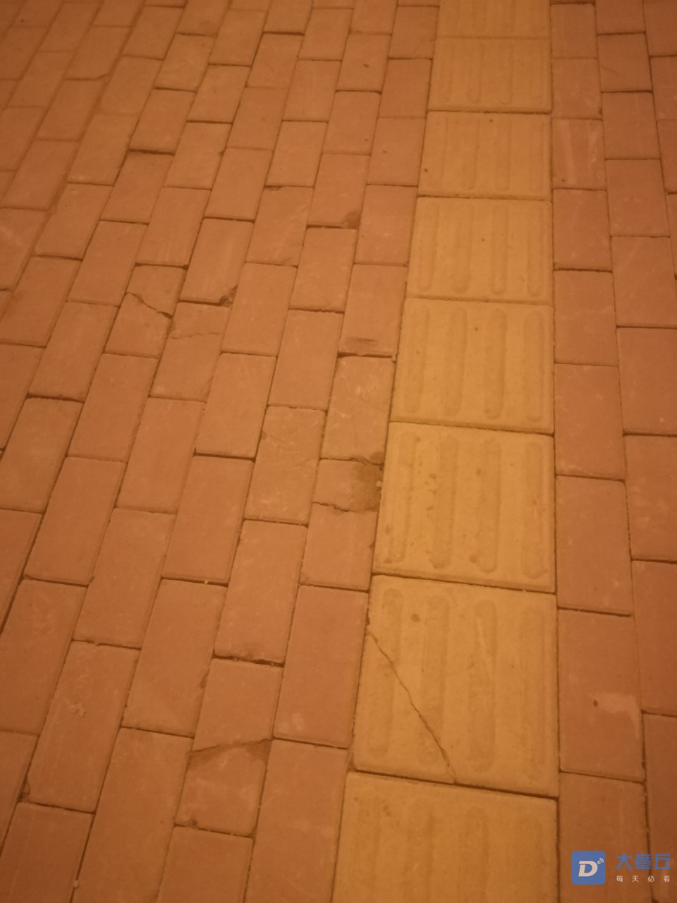20190905_7669_1567695515971.jpg