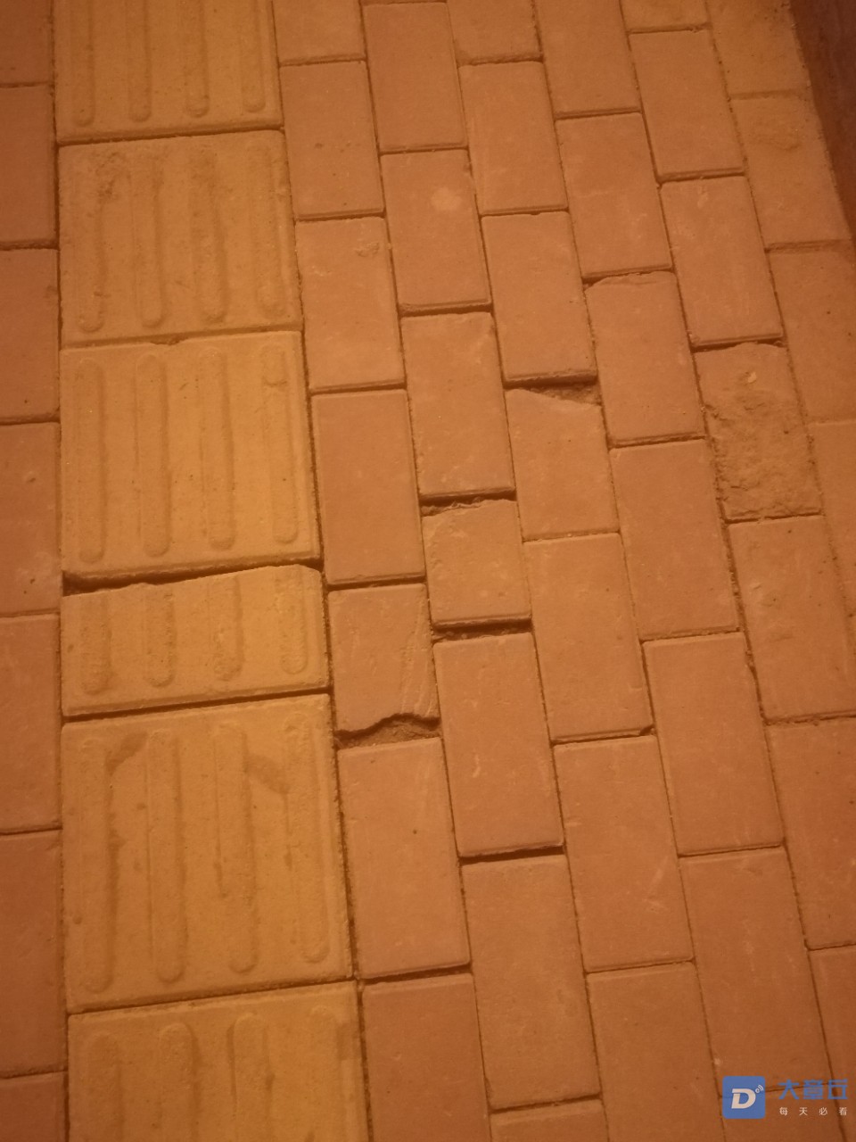 20190905_7669_1567695515503.jpg
