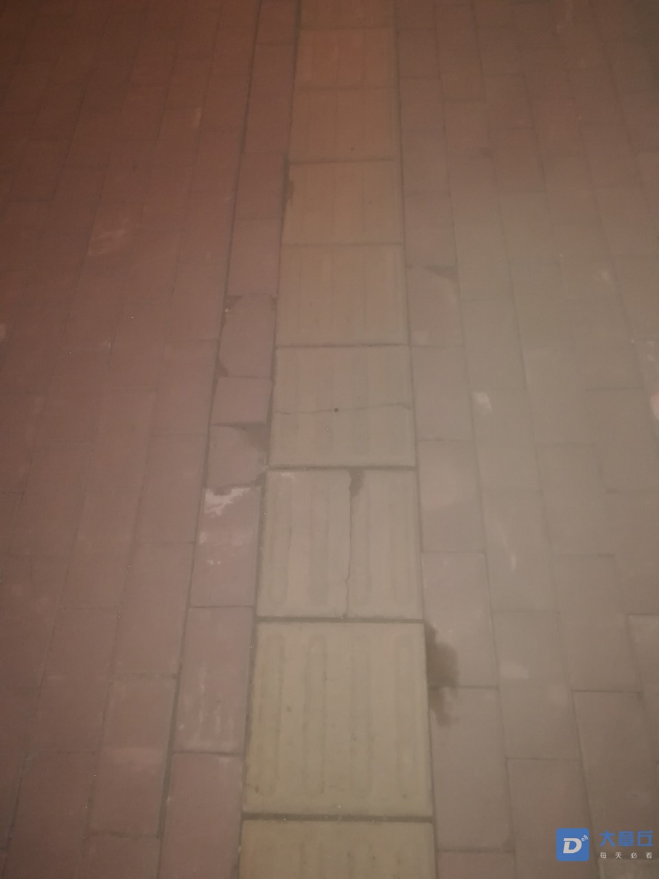 20190905_7669_1567695517278.jpg