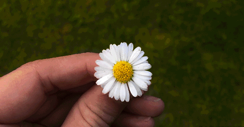 1.03.gif