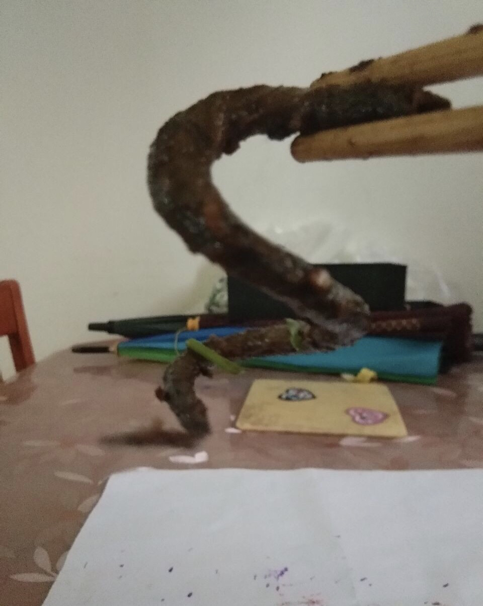 201909181166561568790005099672.jpg