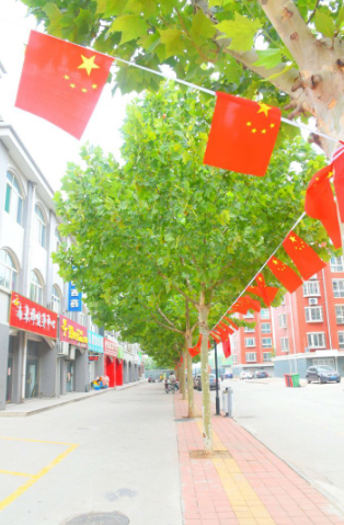 QQ浏览器截图20190920154253.png