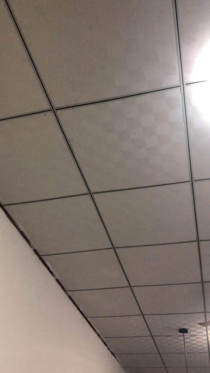 20190921652101569078274324332.jpg