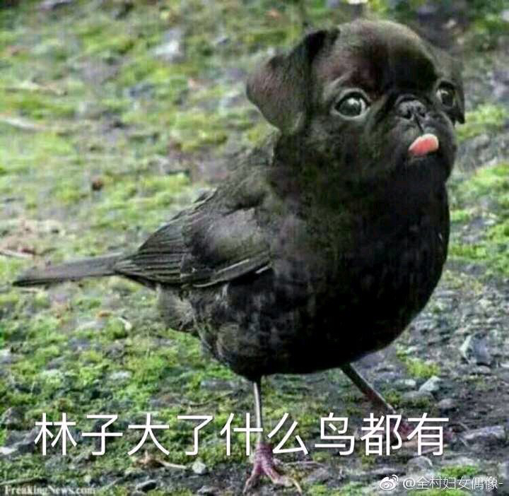 20190927763501569575734126129.jpg
