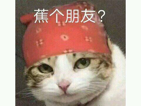 20190929763501569709800140704.jpg