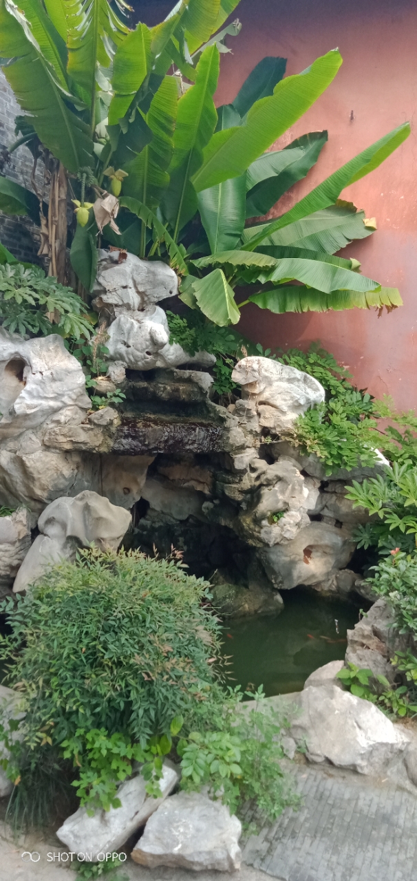 20190929_82060_1569732558145.jpg