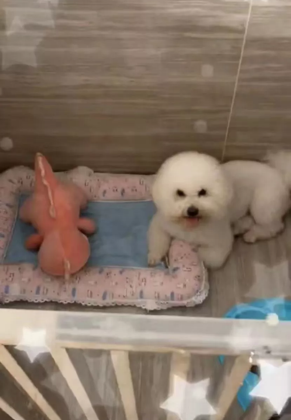 微信截图_20190929141611.png