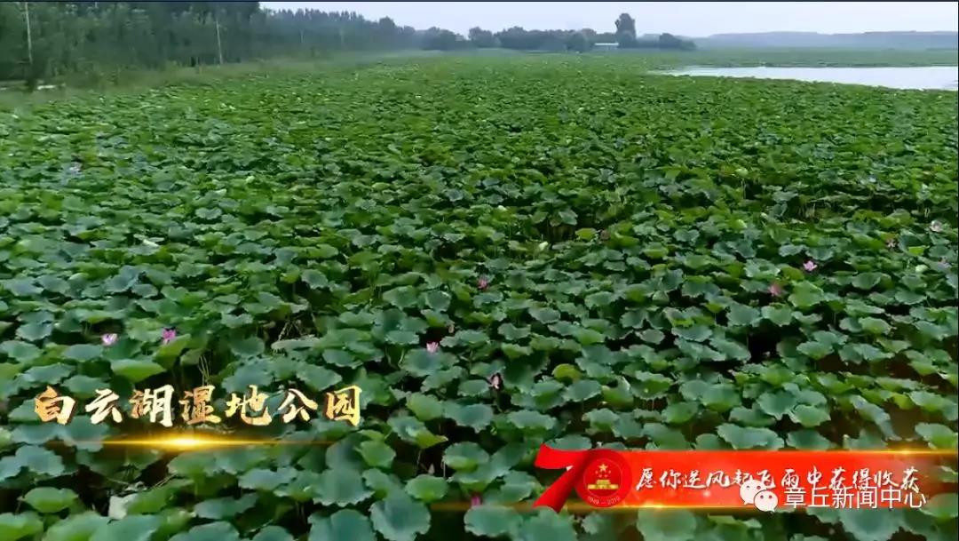 微信图片_20190930082438.jpg