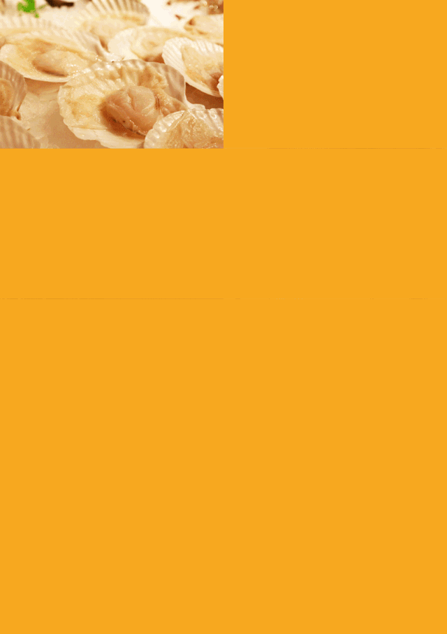 13.gif
