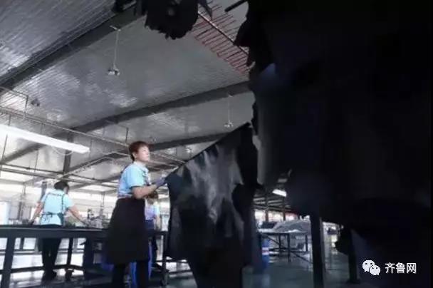 微信图片_20191002140230.jpg