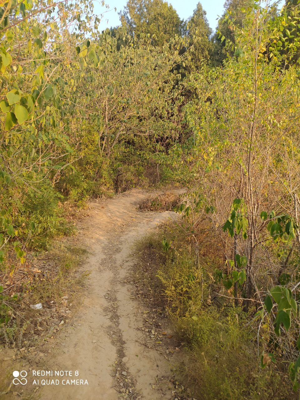 20191002_118987_1570015083347.jpg