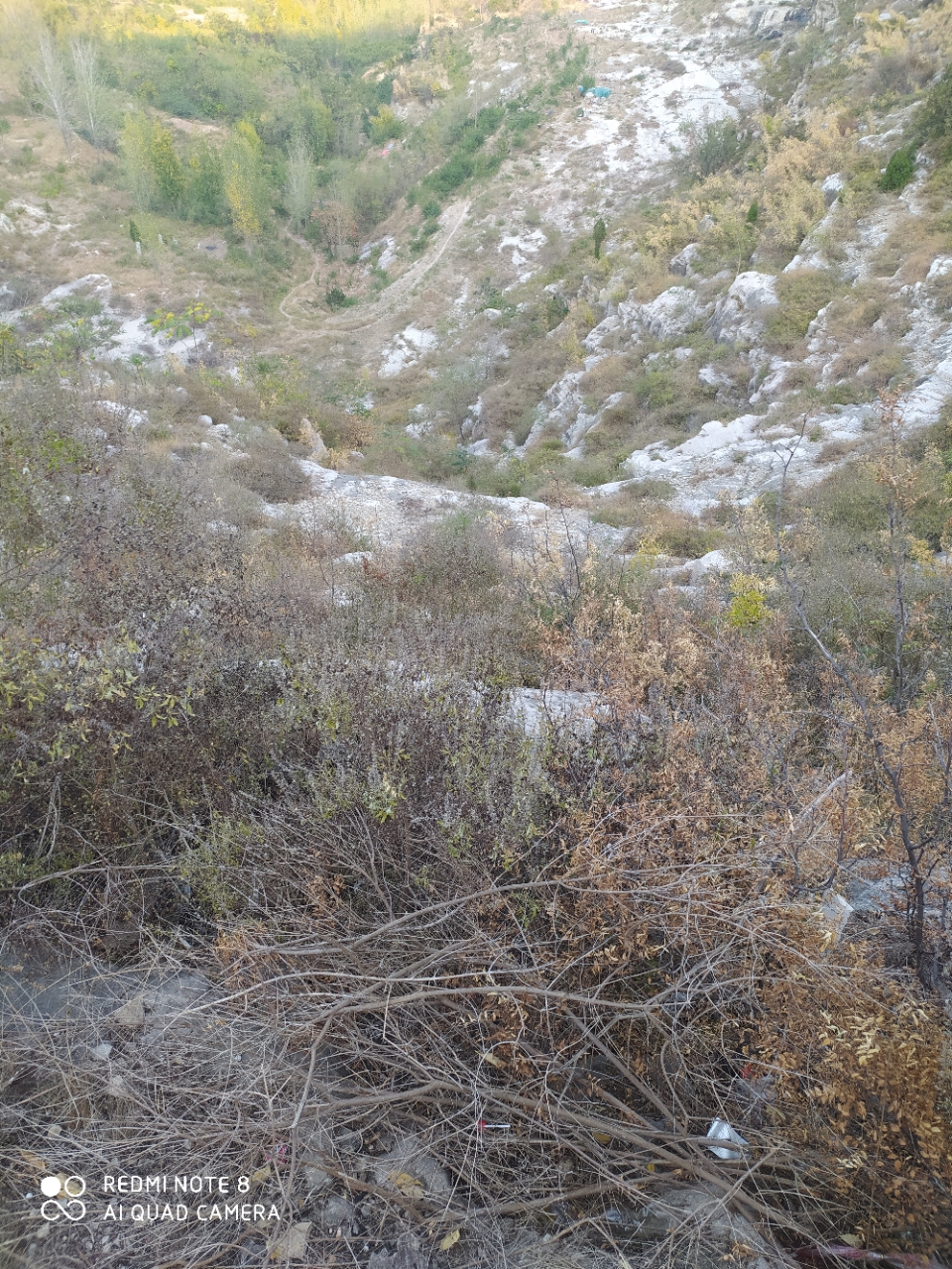 20191002_118987_1570015083952.jpg
