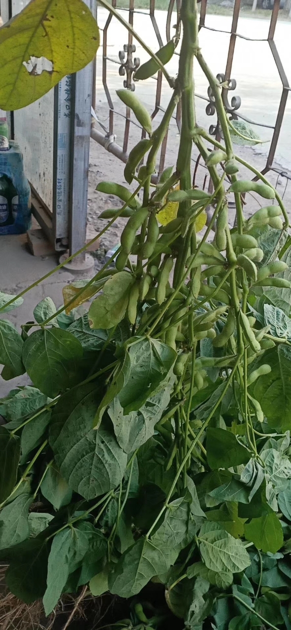 20191003_50564_1570073620390.jpg