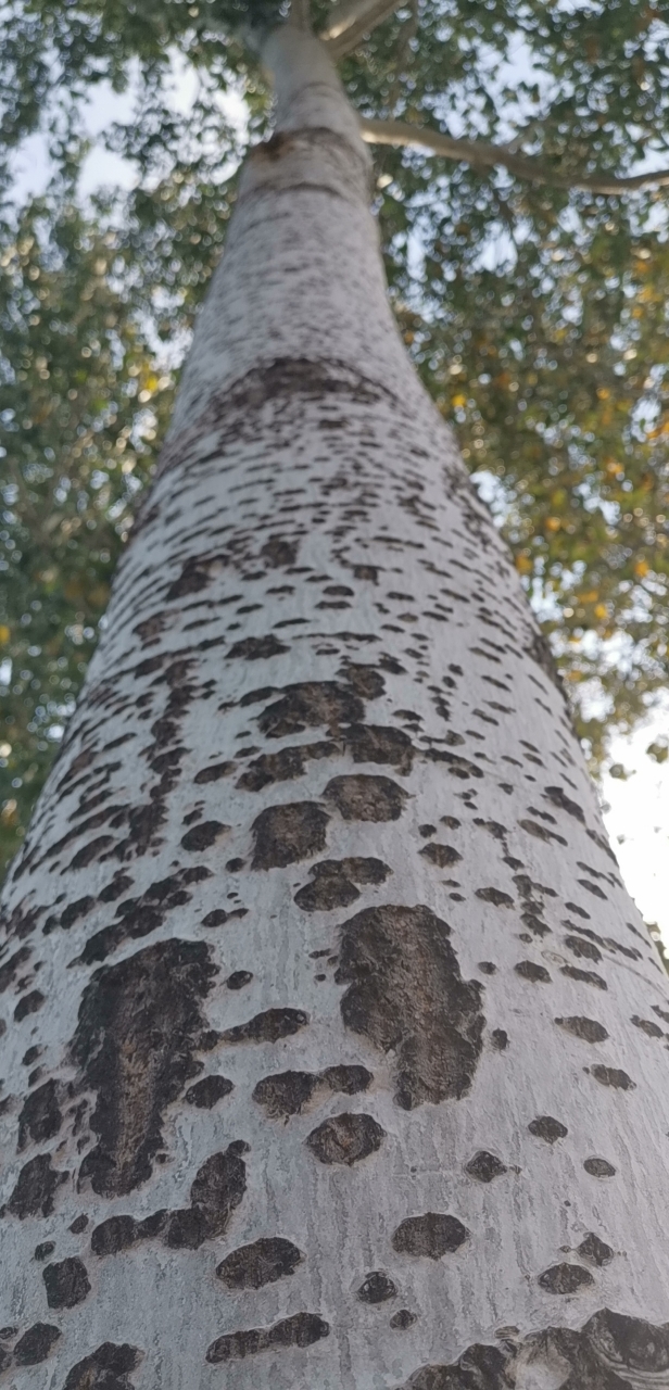20191005_14988_1570267886087.jpg