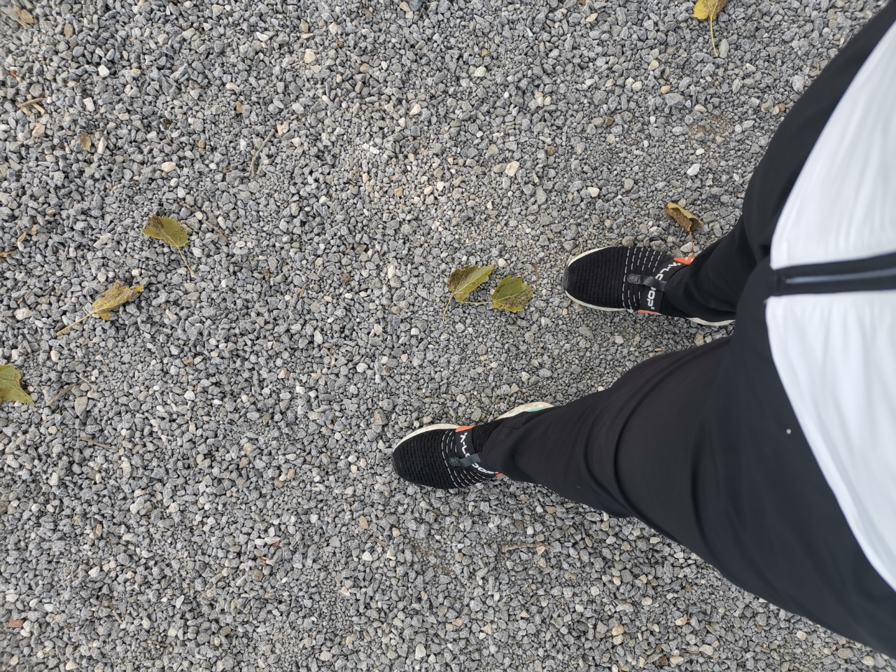20191005_14988_1570267886180.jpg