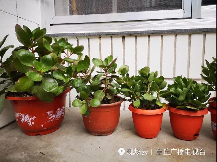 微信图片_20191008081945.jpg