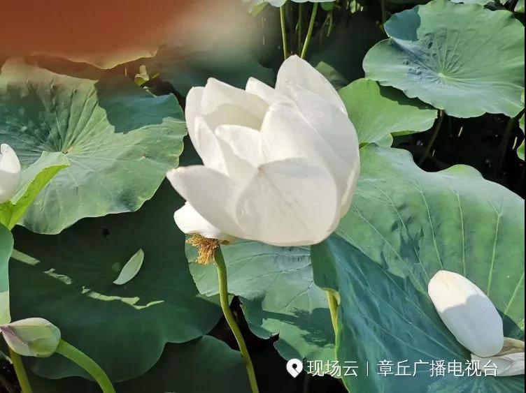 微信图片_20191008081954.jpg