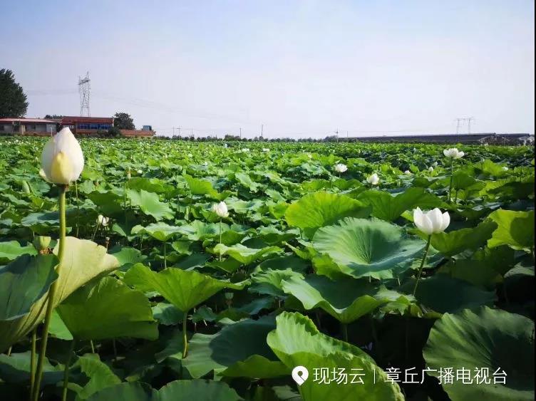 微信图片_20191008081949.jpg