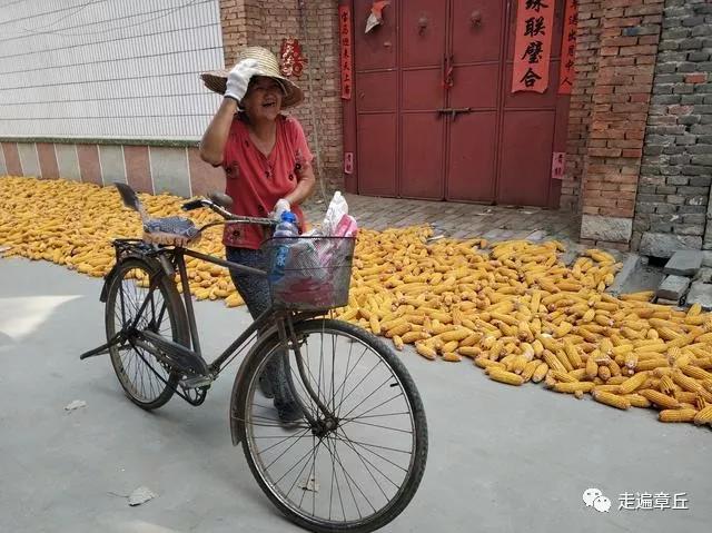 微信图片_20191008082420.jpg