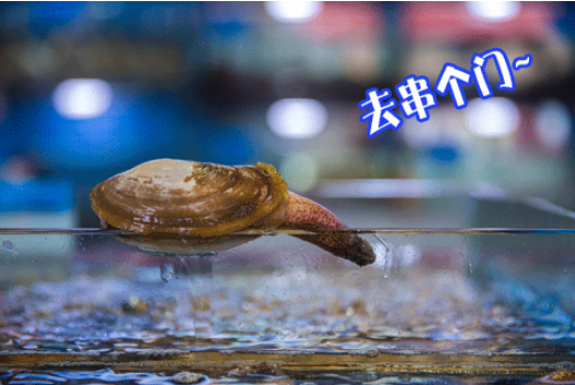 微信截图_20191008153746.png